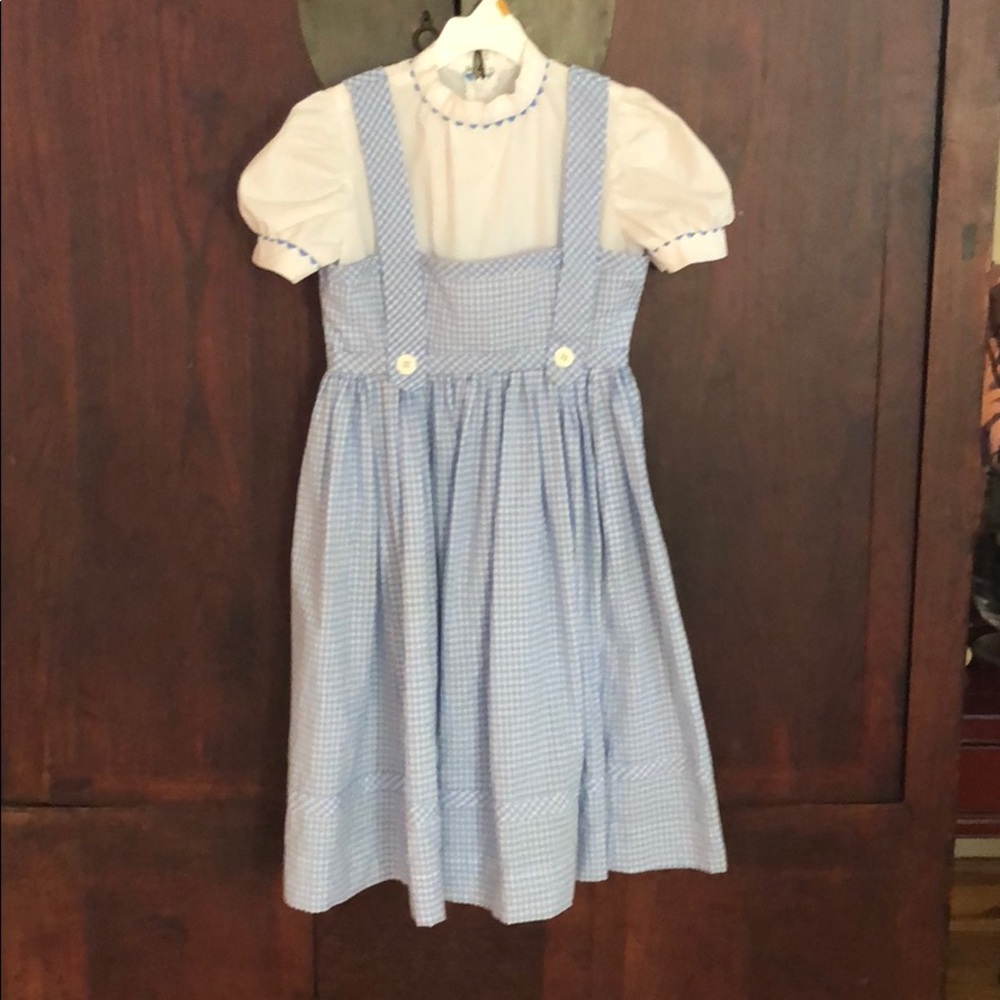 Hand sewn Dorothy dress- Wizard of Oz!